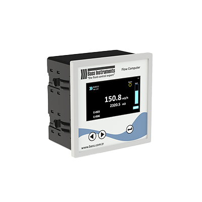 Flow Rate and Totalizer Indicator - BAB212 Bass Instruments